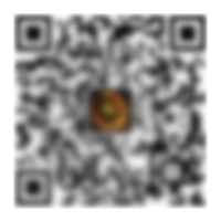 开云体育APP | KAIYUN中国官方版